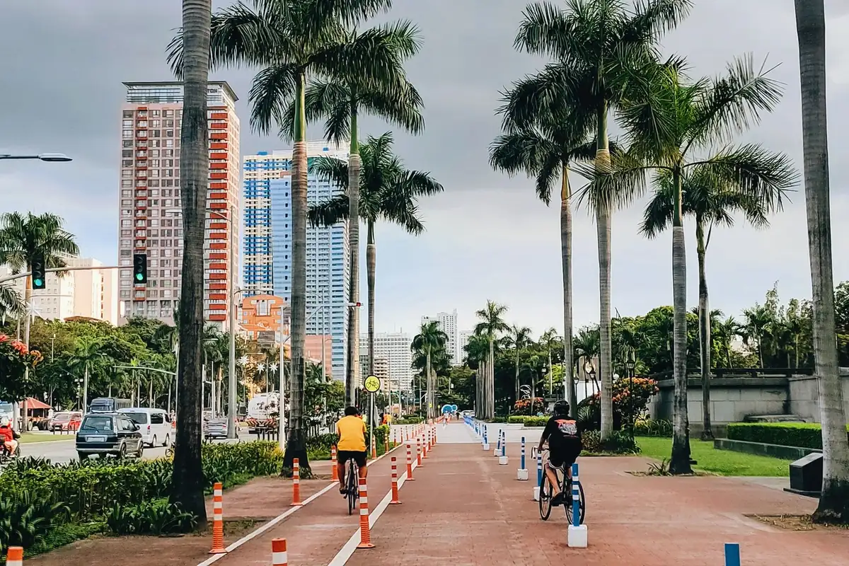 Palm-lined walking path with high-rise buildings in the background