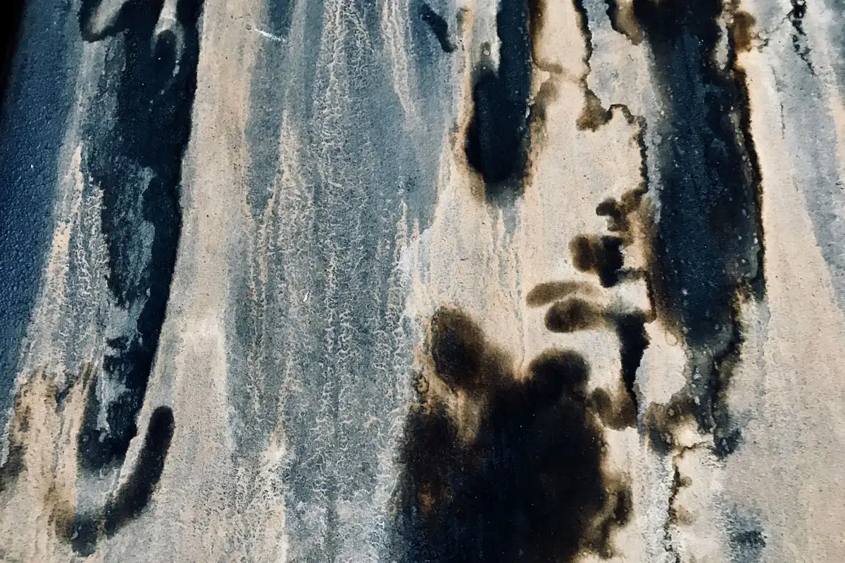 Dark mildew streaks spreading across a weathered pale surface